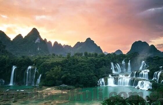 大象传媒回家-回归自然，大象传媒的回家之旅