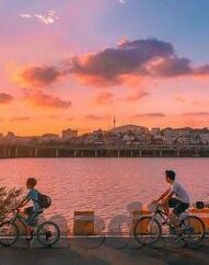 杭州大象传媒公司-杭州大象传媒公司，创新与融合的传媒新势力