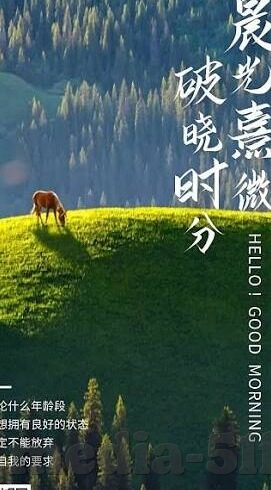 糖心vlog时间-糖心Vlog时间，记录生活的甜蜜瞬间