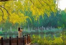 亚洲av日韩精品-探索亚洲AV日韩精品的多元魅力