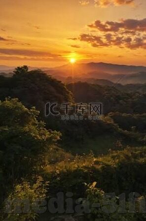 伊人视频一区视频二区-探索网络视频平台的多元化内容，伊人视频一区与二区的独特魅力