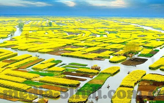 最近中文字幕mv国语免费下载-最新国语MV免费下载，中文字幕，尽享视听盛宴